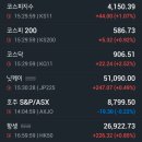 (주)파마바이오코리아 | 11.12(수) 환율강세로 대형주 눌림 VS 바이오 강세장의 시작