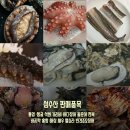 ＜기력증진 ,피로회복＞ 자연산 통영바다장어 ,돌문어 ,통영굴 ,해삼 ,뿔소라 ,활전복 ,바지락 ,가리비 판매중 이미지