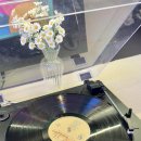 피자나라버거공주 이미지