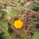 신선만나 이미지