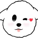 청담동물병원애견미용실 이미지