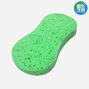 워시월드 이미지