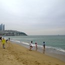 해운대 Daum카페