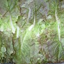 새소망푸드뱅크 이미지