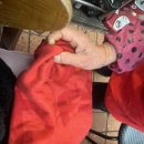 영등포꼬들집 | 영등포시장 라면 떡볶이 맛집🍜 할머니가 운영하시는 7번집 후기