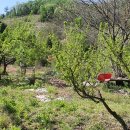 소초농장 이미지