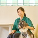 더이쁘개 이미지