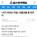 울산광역매일신문 2022년 11월30 일 시 발표-이복희 이미지