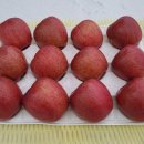 [판매마감] 산빛농장 사과(미얀마 후지)판매합니다.(아삭하고 달달합니다.) 이미지