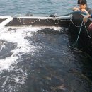 주식회사 가두리 이미지