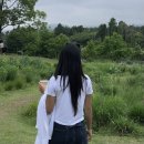 강남-263 | 서울 강남구청 미용실 추천 벨리티 헤어 :: 히피펌 장인 도희실장님 찐후기 및 관리템 추천