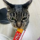 원주시역사박물관_2 | 원주 여행 번외편 🏠 친구 집 습격! 회랑 성심당 빵 안주 삼아 과일주로 2차전 치른 후기