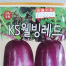 빨간당근 이미지