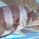 영생상가아파트1차 이미지