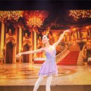 대구경북발레 페스티벌 이미지