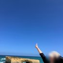 비둘기밧데리 | 호주 멜번 멜버른 그레이트오션로드 투어 내돈내산 추천 헬기 앞좌석 후기