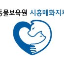 하뮤 네이버블로그