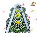 초당요양병원(초당노인병원) 이미지
