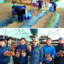 영성축산 국민일보