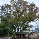 죽봉마을회관 이미지