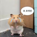 에마블네일 - 고양시 덕양구 지도로92번길 9 | 에마블네일
