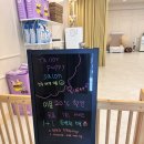 테일러퍼피 이미지