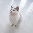 솔빈마루 이미지