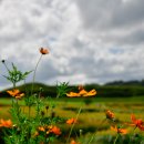 연천호로고루 이미지