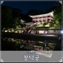 저 너머 달빛 | 창덕궁 달빛기행 예약 미리 보는 서울 궁궐 전각 후원 야간개장