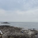 보릿돌카페