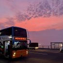 제주 - 군포시 | 제주