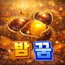 밤 꿈 해몽