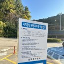미스터뚝딱 | 부산 공연 추천 창작 코미디 뮤지컬 미스터마담 후기 (ft.빅픽처스테이지)