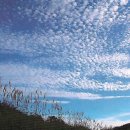 한국탁본자료관 이미지