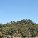 제주하도바당 | 20260220_제주 2일차🍊