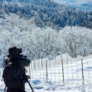 가오목장 이미지