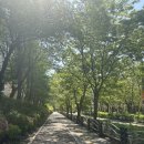 대평로52번길 이미지