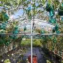 대동농장 이미지