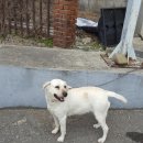 월광주유소 이미지