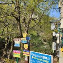 서봉 | 전남 강진 덕룡산 진달래 소석문 동봉 서봉 등산코스 4월산행