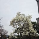 전북대학교부속박물관 | 전주 '경기전' 어진박물관 내부 입장과 '전동성당' 구경하기