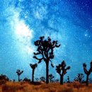 원트리투어 이미지