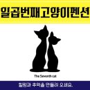 일곱번째 고양이 펜션 이미지