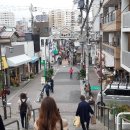 고양이 마을 이미지