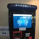 남부대국제수영장 | 프리다이빙 배우기 남부대국제수영장