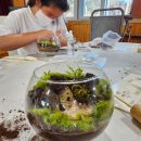 오안초등학교 | [공지] [출강후기-홍천오안초등학교] 이끼숲작업실 춘천테라리움출강 춘천원데이 춘천체험공방 춘천식물...