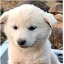 추월산로 이미지