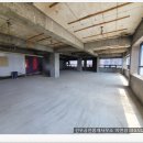 감삼동305 이미지