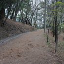 장군산 둘레길 이미지