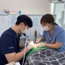 서울정진치과의원 이미지